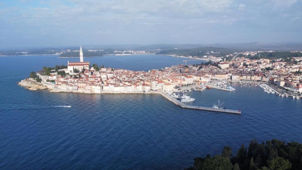 Apartment Michaela 4-Sterne & Parking Rovinj Bagian luar foto